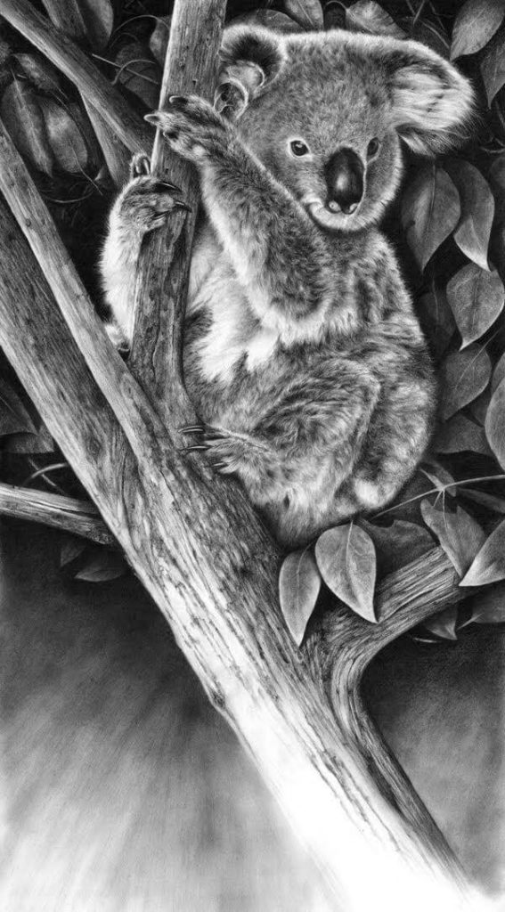 How To Draw Animals? 60 Easy Pencil Drawings Of Animals