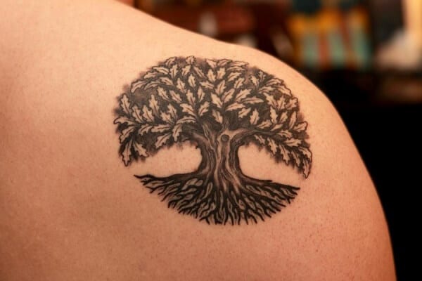 The Newest Tree Tattoos  inkedappcom