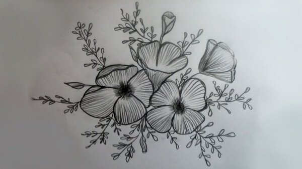 20 Aesthetic and Easy Flower Drawings in Pencil 2023  Do It Before Me