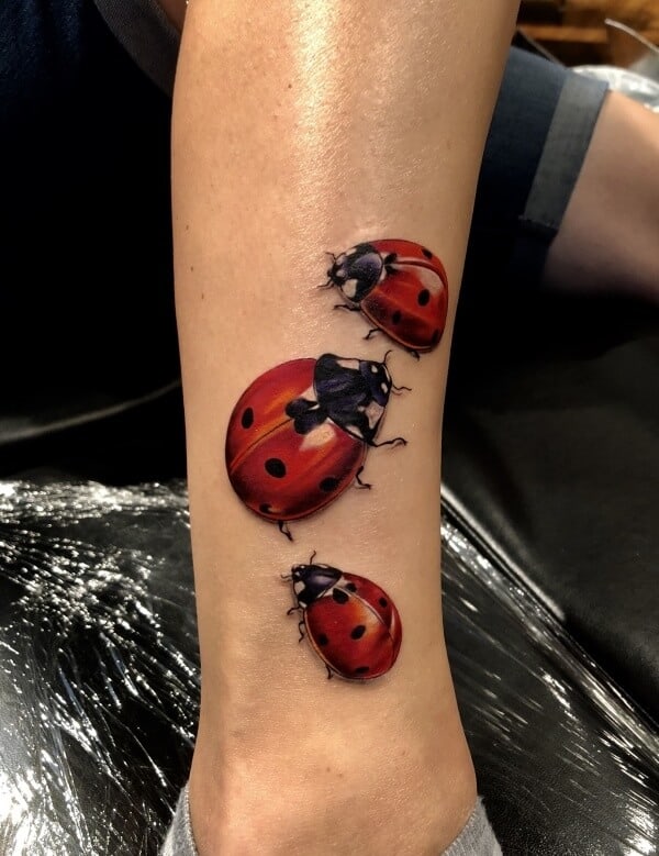 3D ladybug  3d tattoos Lady bug tattoo Shadow tattoo