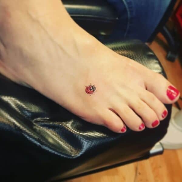 ladybug tattoo  design ideas and meaning  WithTattocom