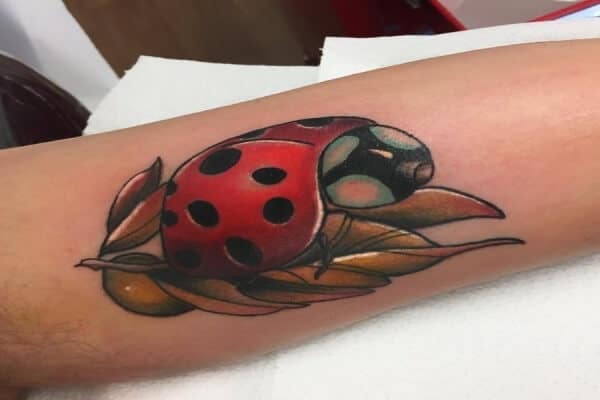 Ladybug Tattoo  Javier Eastman  Flickr