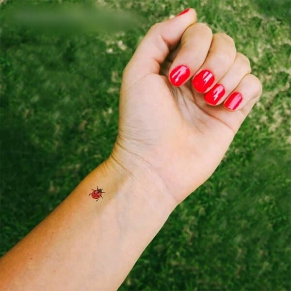 Tattoo tagged with insect small jonboy micro animal tiny ifttt  little wrist ladybug minimalist  inkedappcom