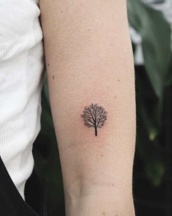oak leaf tattoo  oak leaf and acorn tattoo malia reynolds m  Flickr