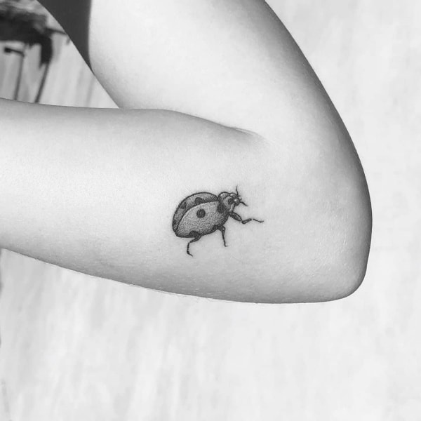 22 Nice Flying Ladybug Tattoos